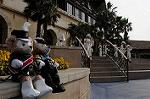 Dcim7302/DSC_2243