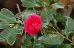Dcim7314/DSC_3949
