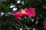 Dcim7314/DSC_3973