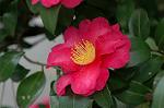 Dcim7314/DSC_3997