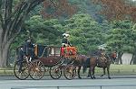 Dcim7314/DSC_4057
