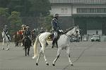 Dcim7315/DSC_4101