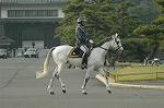 Dcim7315/DSC_4103