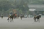 Dcim7315/DSC_4108