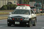 Dcim7315/DSC_4126