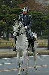 Dcim7315/DSC_4181