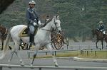 Dcim7315/DSC_4187