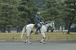 Dcim7315/DSC_4189