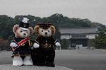 Dcim7316/DSC_3969