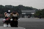 Dcim7316/DSC_3977
