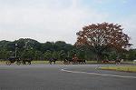Dcim7316/DSC_4002