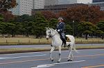 Dcim7317/DSC_4006