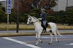 Dcim7317/DSC_4008