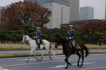 Dcim7317/DSC_4016