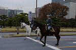 Dcim7317/DSC_4018