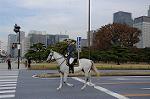 Dcim7317/DSC_4028
