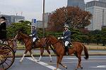 Dcim7317/DSC_4036