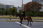 Dcim7317/DSC_4040
