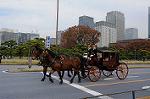Dcim7317/DSC_4044