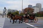 Dcim7317/DSC_4045