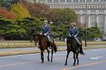 Dcim7317/DSC_4051