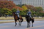 Dcim7317/DSC_4054