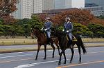 Dcim7317/DSC_4057