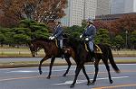 Dcim7317/DSC_4058