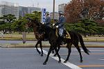 Dcim7317/DSC_4060