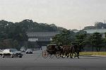 Dcim7317/DSC_4103