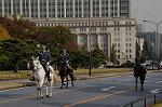 Dcim7317/DSC_4113
