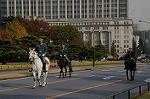Dcim7317/DSC_4114