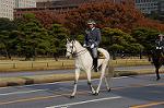 Dcim7317/DSC_4118