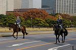 Dcim7317/DSC_4121