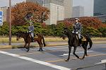 Dcim7317/DSC_4123
