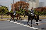 Dcim7317/DSC_4124