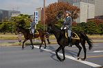 Dcim7317/DSC_4125