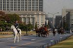 Dcim7317/DSC_4127