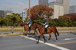 Dcim7317/DSC_4141