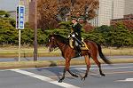 Dcim7317/DSC_4145