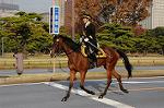 Dcim7317/DSC_4146