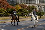 Dcim7318/DSC_4157