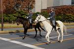 Dcim7318/DSC_4160