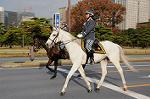Dcim7318/DSC_4161