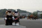 Dcim7318/DSC_4176