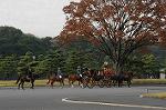 Dcim7318/DSC_4192