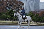 Dcim7318/DSC_4208