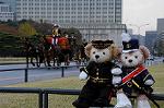 Dcim7318/DSC_4210