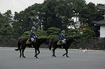 Dcim7318/DSC_4229