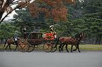Dcim7318/DSC_4233